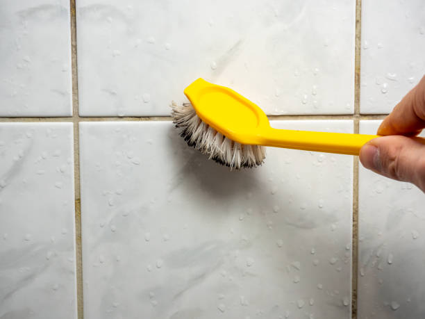Best Black Mold Remediation in Rumson, NJ